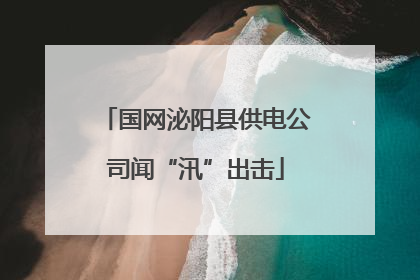 国网泌阳县供电公司闻“汛”出击