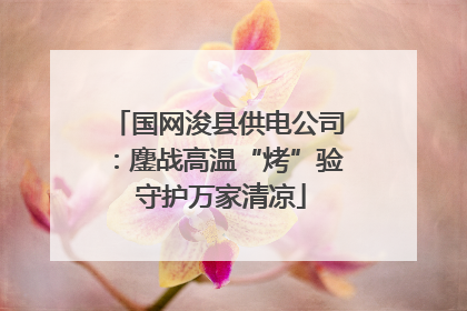 国网浚县供电公司：鏖战高温“烤”验 守护万家清凉