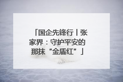 国企先锋行丨张家界：守护平安的那抹“金盾红”