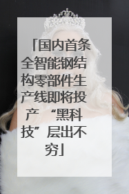国内首条全智能钢结构零部件生产线即将投产 “黑科技”层出不穷