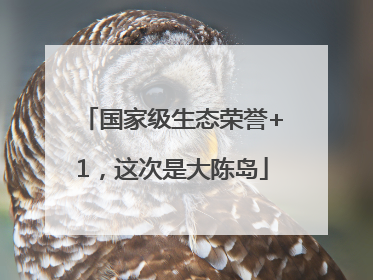 国家级生态荣誉+1，这次是大陈岛