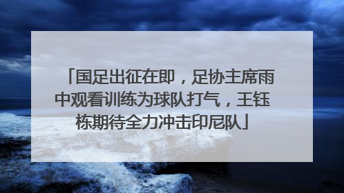 国足出征在即，足协主席雨中观看训练为球队打气，王钰栋期待全力冲击印尼队