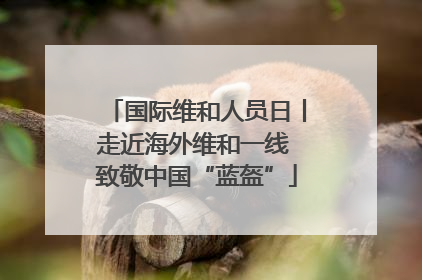 国际维和人员日丨走近海外维和一线 致敬中国“蓝盔”