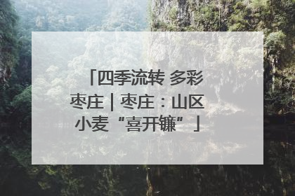 四季流转 多彩枣庄｜枣庄：山区小麦“喜开镰”