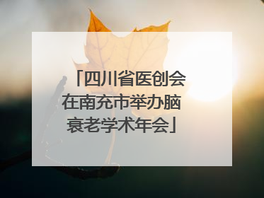 四川省医创会在南充市举办脑衰老学术年会