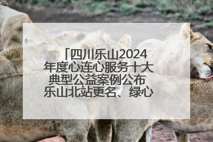 四川乐山2024年度心连心服务十大典型公益案例公布 乐山北站更名、绿心路井盖治理等上榜