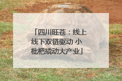 四川旺苍：线上线下双链驱动 小枇杷撬动大产业