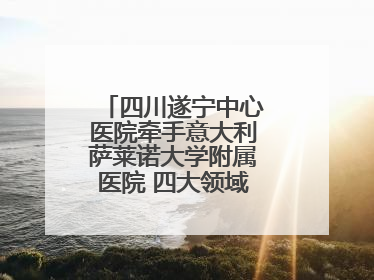 四川遂宁中心医院牵手意大利萨莱诺大学附属医院 四大领域开展全面合作