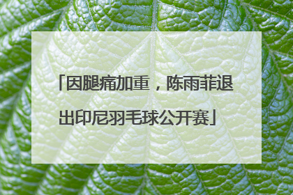 因腿痛加重，陈雨菲退出印尼羽毛球公开赛