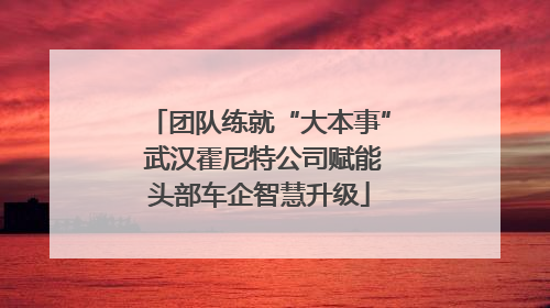 团队练就“大本事” 武汉霍尼特公司赋能头部车企智慧升级