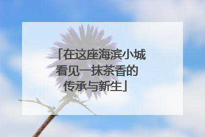 在这座海滨小城 看见一抹茶香的传承与新生