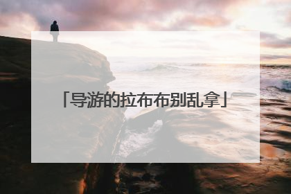 导游的拉布布别乱拿