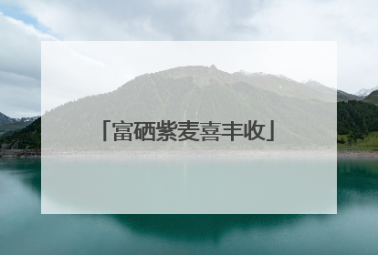 富硒紫麦喜丰收
