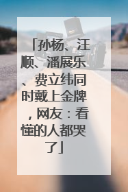 孙杨、汪顺、潘展乐、费立纬同时戴上金牌，网友：看懂的人都哭了