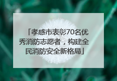 孝感市表彰70名优秀消防志愿者，构建全民消防安全新格局