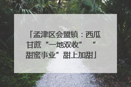孟津区会盟镇：西瓜甘蔗“一地双收” “甜蜜事业”甜上加甜
