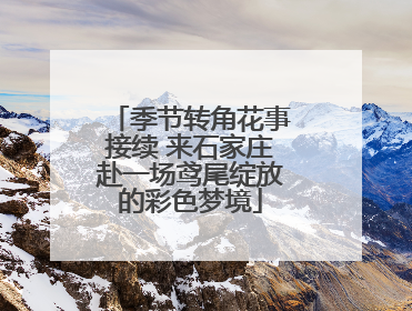 季节转角花事接续 来石家庄赴一场鸢尾绽放的彩色梦境