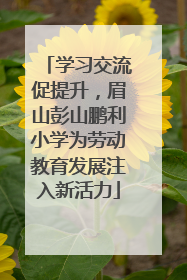 学习交流促提升，眉山彭山鹏利小学为劳动教育发展注入新活力