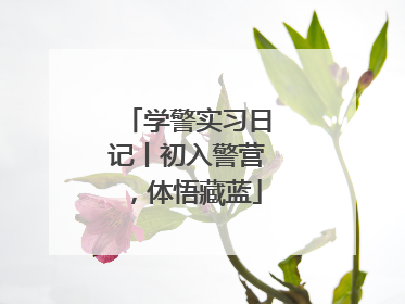 学警实习日记丨初入警营，体悟藏蓝