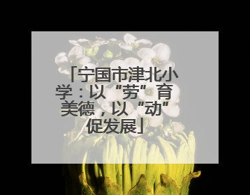 宁国市津北小学：以“劳”育美德，以“动”促发展