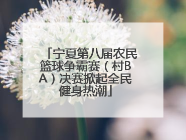 宁夏第八届农民篮球争霸赛（村BA）决赛掀起全民健身热潮