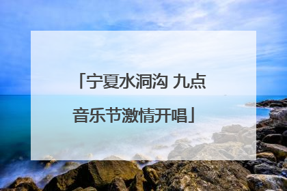 宁夏水洞沟 九点音乐节激情开唱