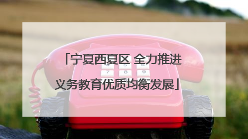 宁夏西夏区 全力推进义务教育优质均衡发展