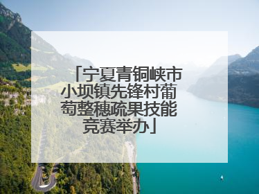 宁夏青铜峡市小坝镇先锋村葡萄整穗疏果技能竞赛举办