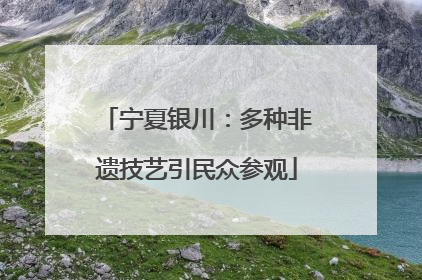 宁夏银川：多种非遗技艺引民众参观