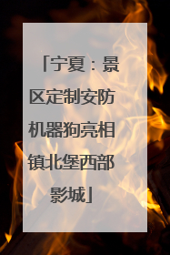 宁夏：景区定制安防机器狗亮相镇北堡西部影城