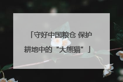 守好中国粮仓 保护耕地中的“大熊猫”