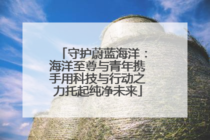 守护蔚蓝海洋：海洋至尊与青年携手用科技与行动之力托起纯净未来