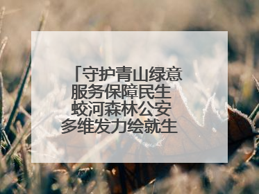 守护青山绿意 服务保障民生 蛟河森林公安多维发力绘就生态惠民新画卷