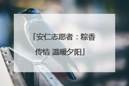 安仁志愿者：粽香传情 温暖夕阳