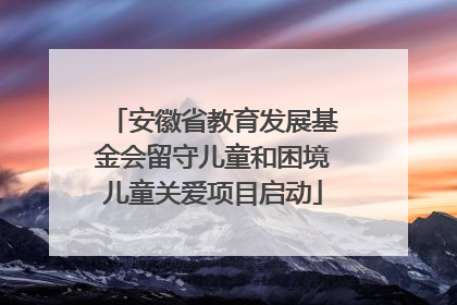 安徽省教育发展基金会留守儿童和困境儿童关爱项目启动