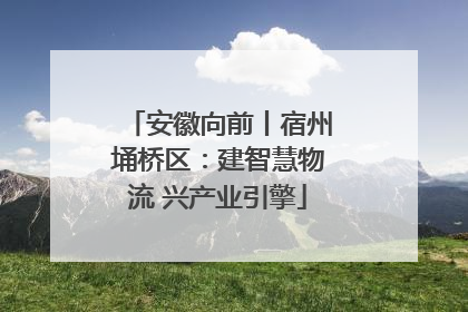 安徽向前丨宿州埇桥区：建智慧物流 兴产业引擎