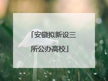 安徽拟新设三所公办高校