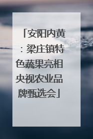 安阳内黄：梁庄镇特色蔬果亮相央视农业品牌甄选会