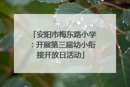 安阳市梅东路小学：开展第三届幼小衔接开放日活动