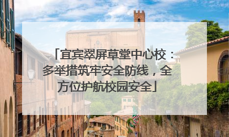 宜宾翠屏草堂中心校：多举措筑牢安全防线，全方位护航校园安全