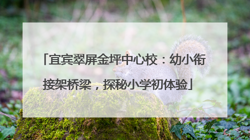 宜宾翠屏金坪中心校：幼小衔接架桥梁，探秘小学初体验