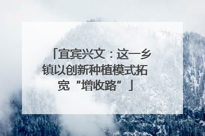 宜宾兴文：这一乡镇以创新种植模式拓宽“增收路”
