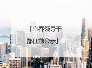 宜春领导干部任前公示
