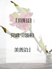 宜阳县：党建引领和美善治