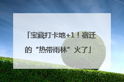 宝藏打卡地+1！宿迁的“热带雨林”火了