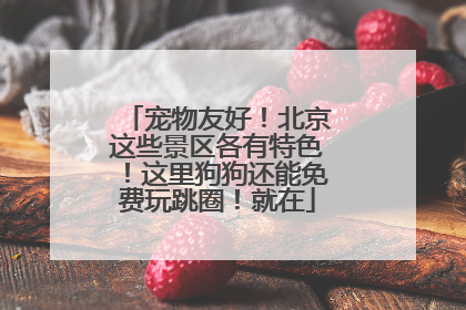 宠物友好！北京这些景区各有特色！这里狗狗还能免费玩跳圈！就在