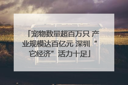 宠物数量超百万只 产业规模达百亿元 深圳“它经济”活力十足