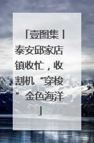 壹图集丨泰安邱家店镇收忙，收割机“穿梭”金色海洋
