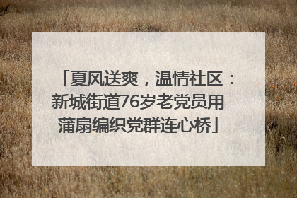 夏风送爽，温情社区：新城街道76岁老党员用蒲扇编织党群连心桥