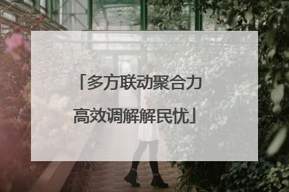 多方联动聚合力 高效调解解民忧